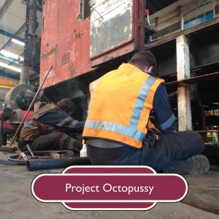 Project Octopussy