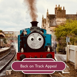 Back on Track Appeal