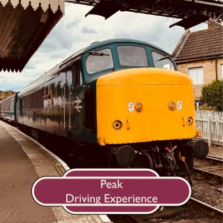 Peak Driving Experience Course
