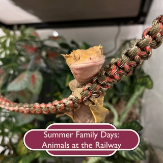 Summer Family Days: Animals at the Railway