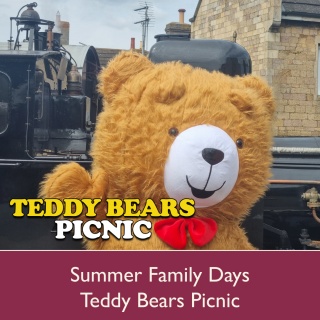 Summer Family Days: Teddy Bears Picnic