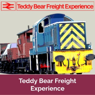 Teddy Bear Freight Experience