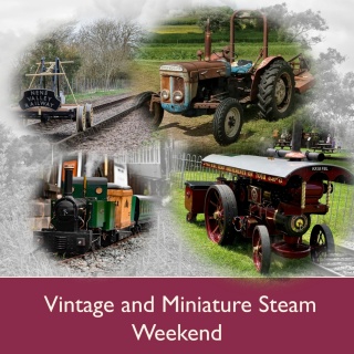Vintage and Miniature Steam Weekend