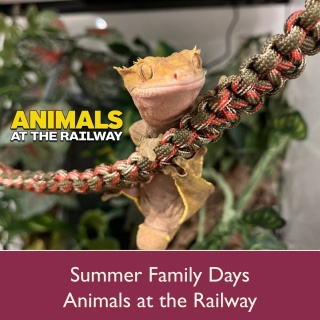 Summer Family Days: Animals at the Railway